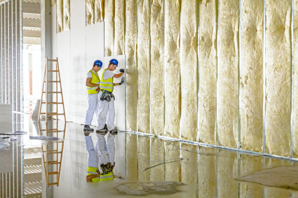 Best Insulation for Specific Applications in Flower Mound, TX